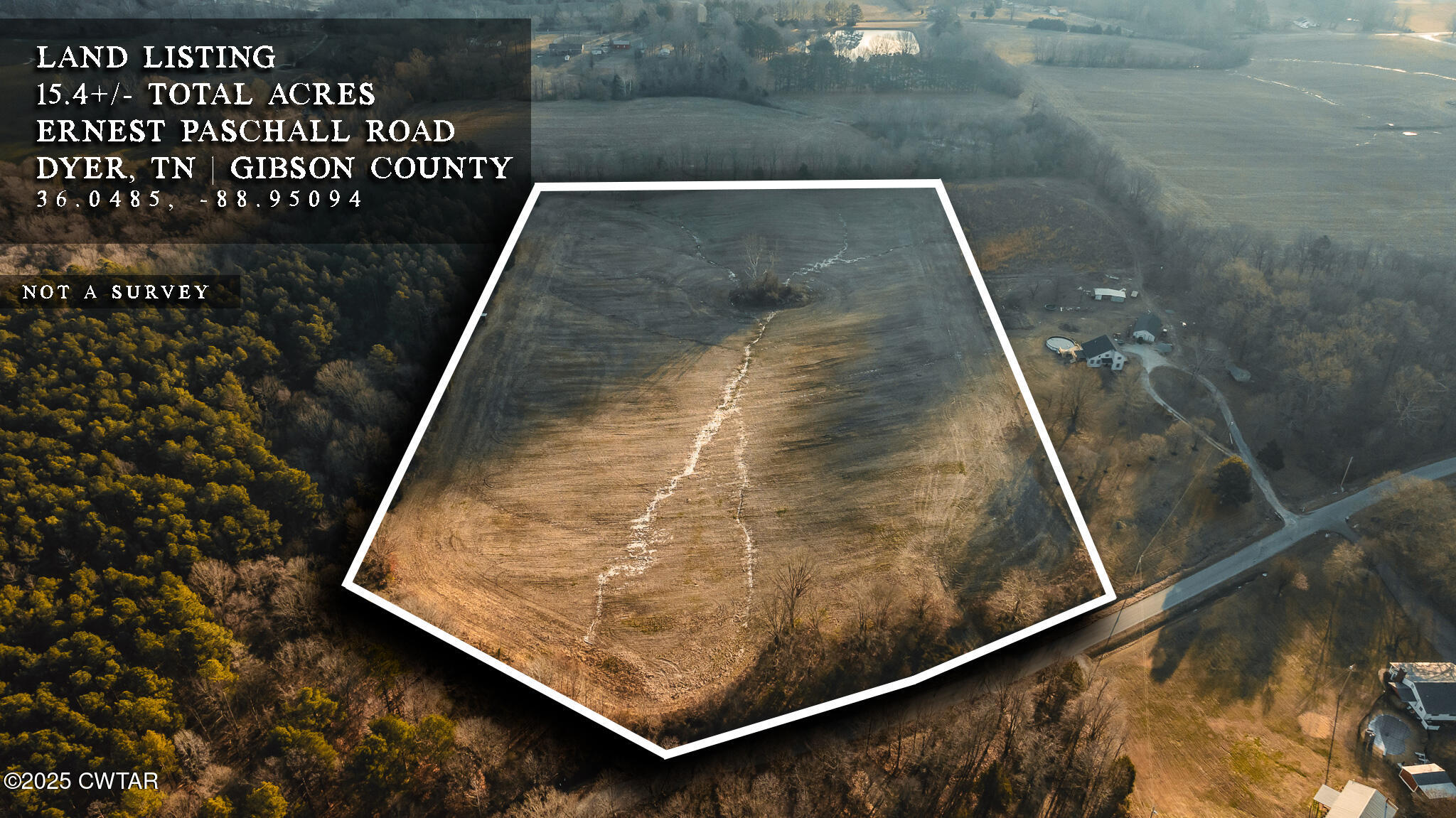 0 Ernest Paschall Road Dyer, TN 38330 - Photo 13 of 14