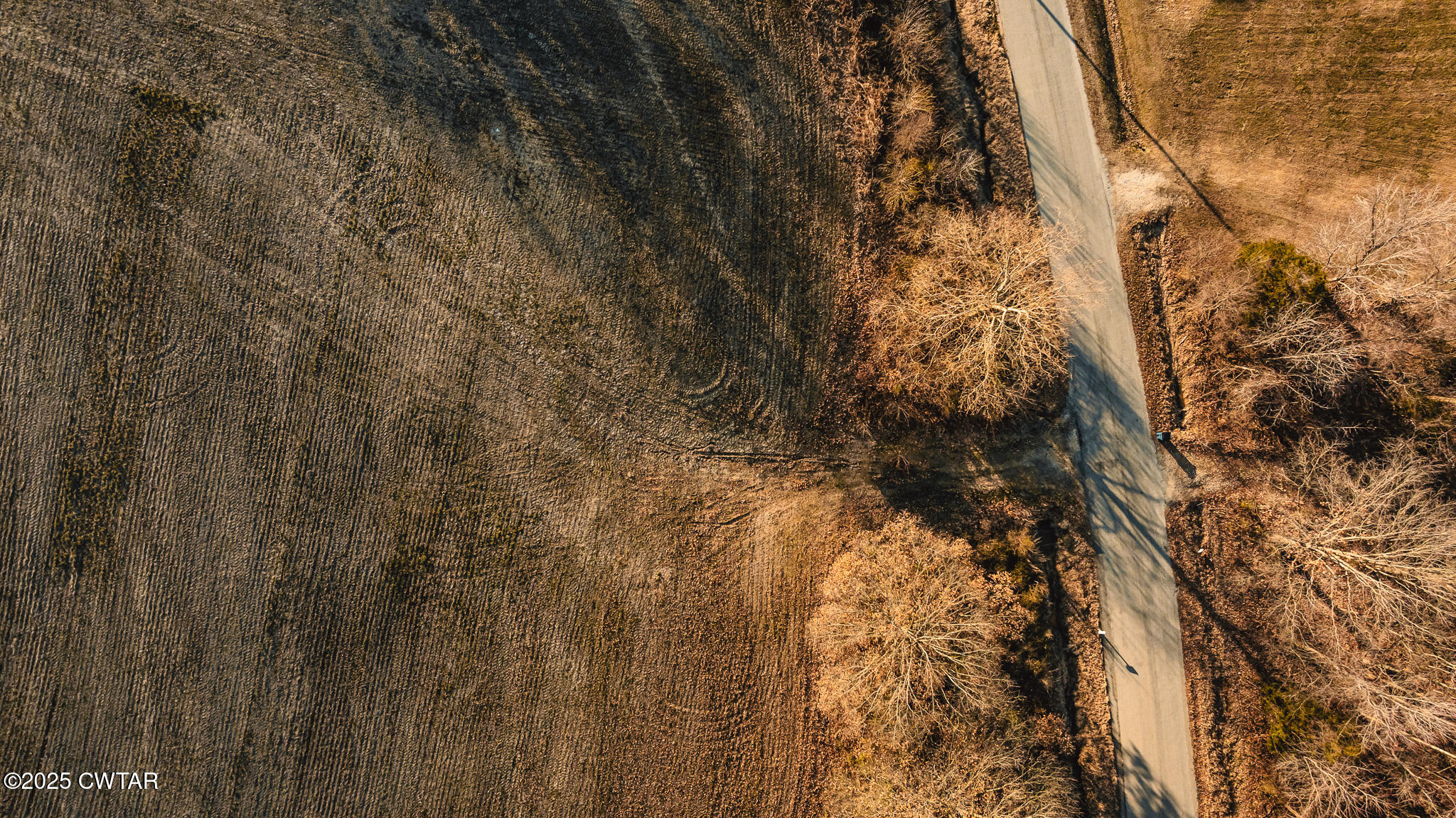 0 Ernest Paschall Road Dyer, TN 38330 - Photo 4 of 14 a view of a yard