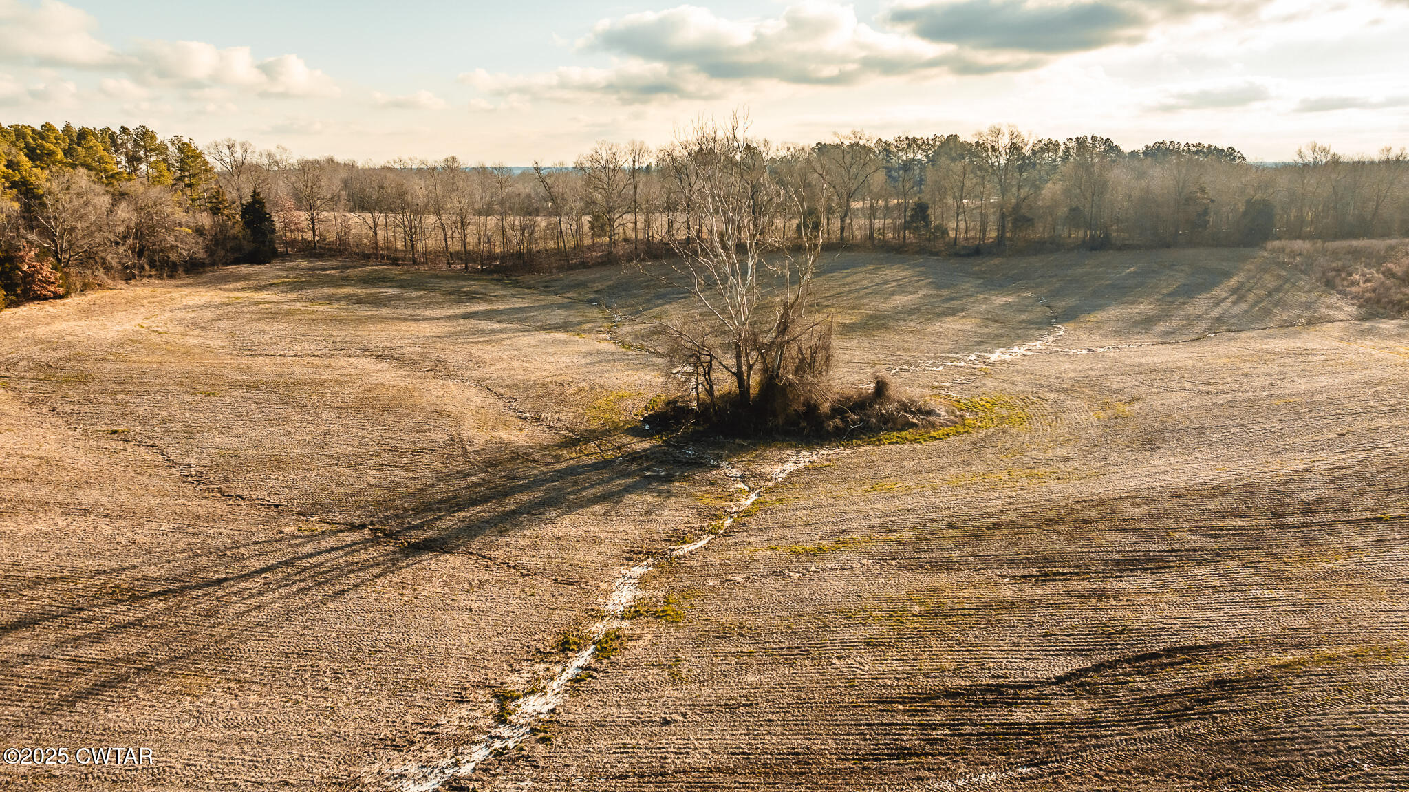0 Ernest Paschall Road Dyer, TN 38330 - Photo 6 of 14 a view of a lake with houses