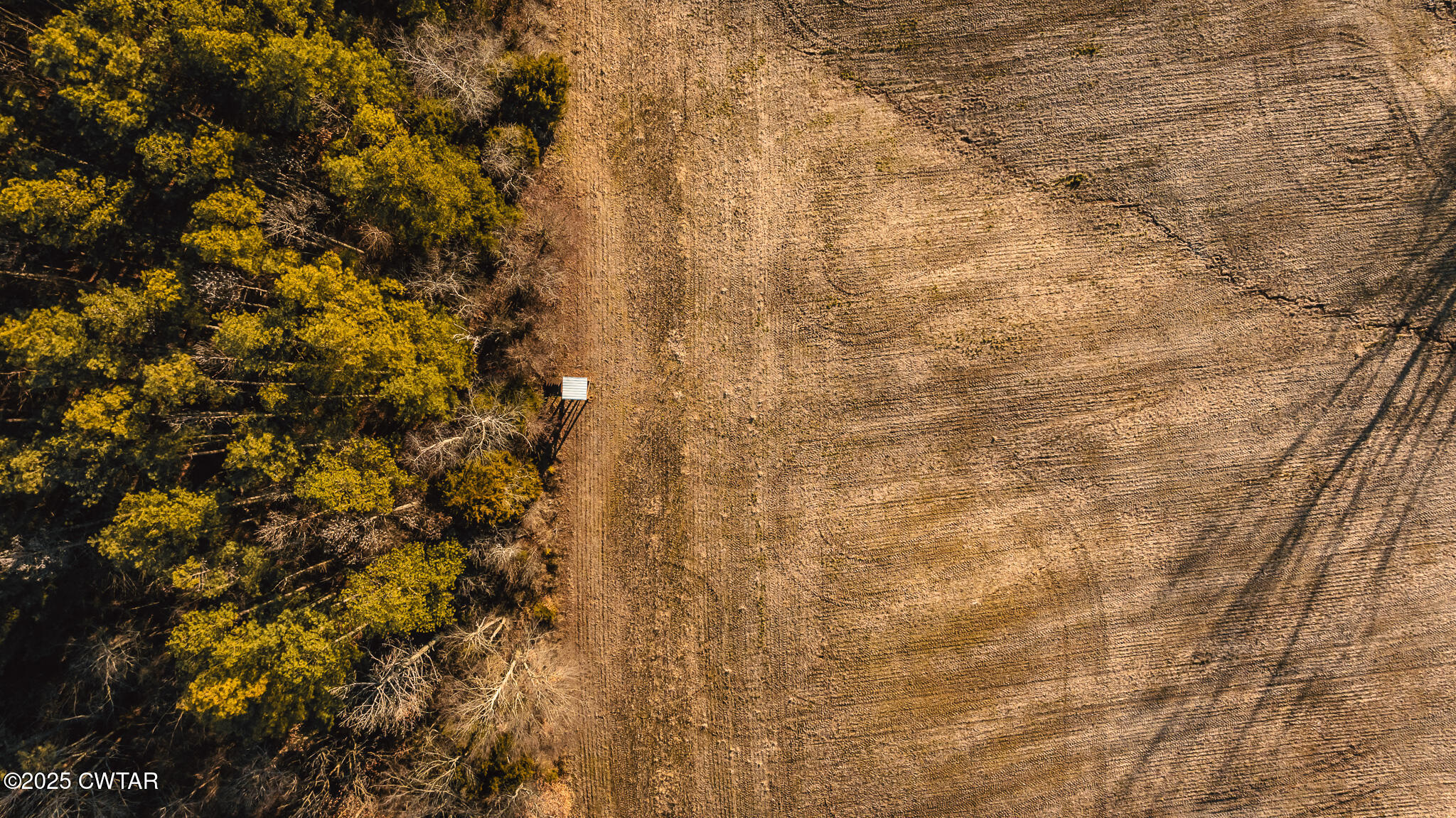 0 Ernest Paschall Road Dyer, TN 38330 - Photo 9 of 14 a bathroom with a shower