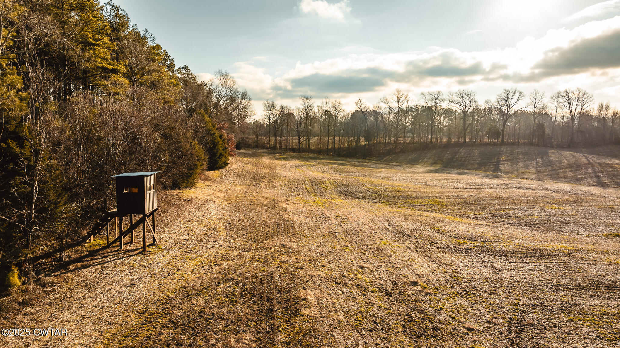 0 Ernest Paschall Road Dyer, TN 38330 - Photo 10 of 14