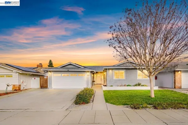 a view of a yard in front of a house with a large tree