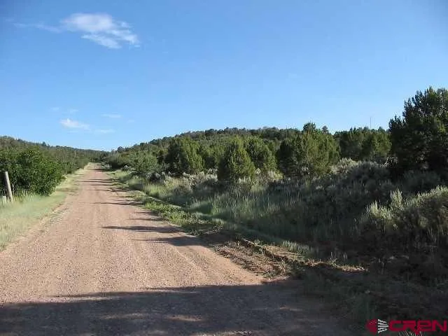 a view of a dry yard with wooden fence