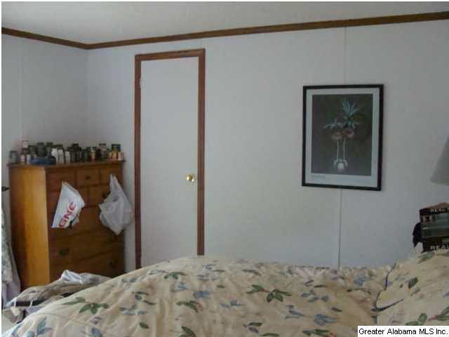 325 Big Springs Road Woodstock, AL 35188 - Photo 3 of 18