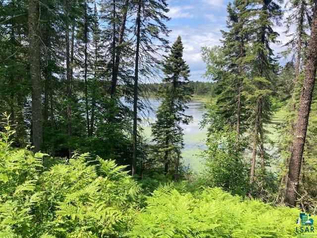 11919 Luna Lake Road Side Lake, MN 55781 - Photo 15 of 23