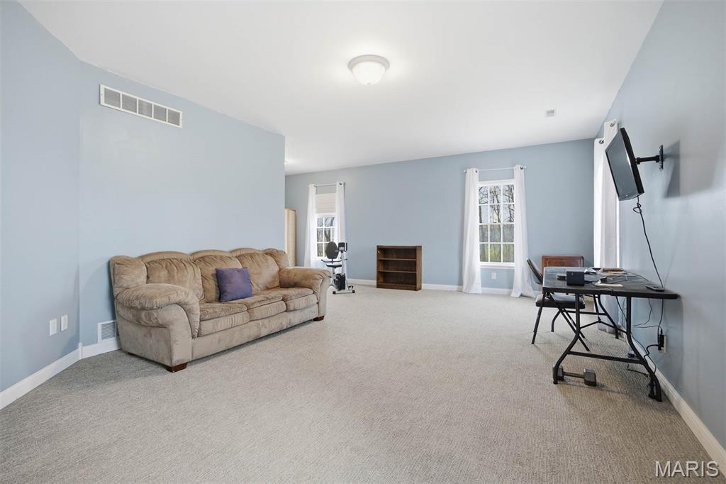 12 Rocky Ford Road Belleville, IL 62221 - Photo 50 of 65