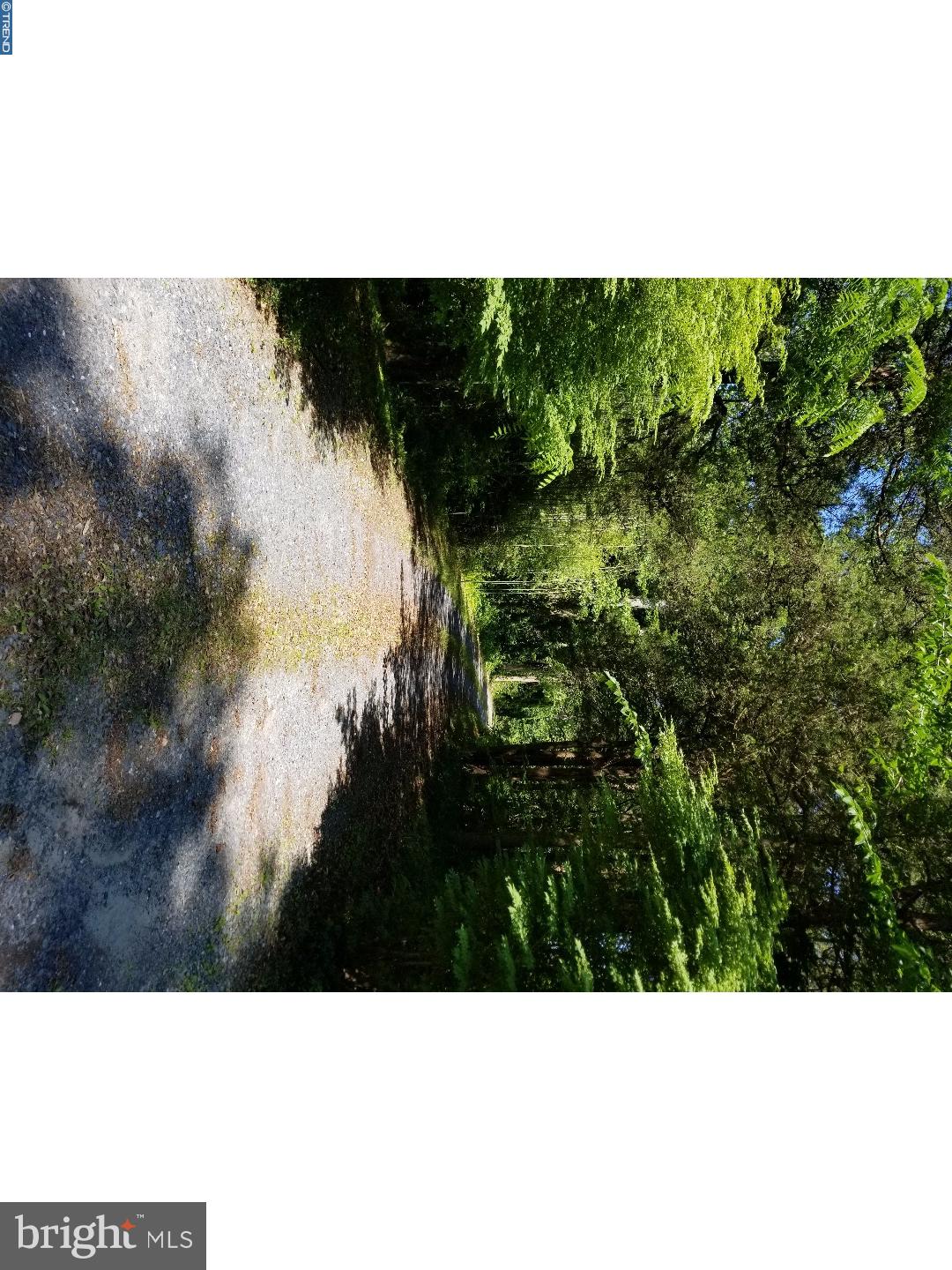 218 Pierson Road Alloway, NJ 08098 - Photo 1 of 25 Driveway