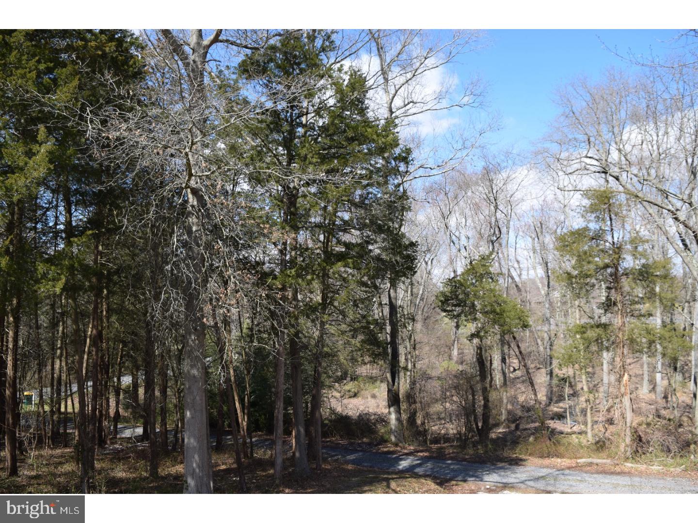 218 Pierson Road Alloway, NJ 08098 - Photo 6 of 25 Exterior Front