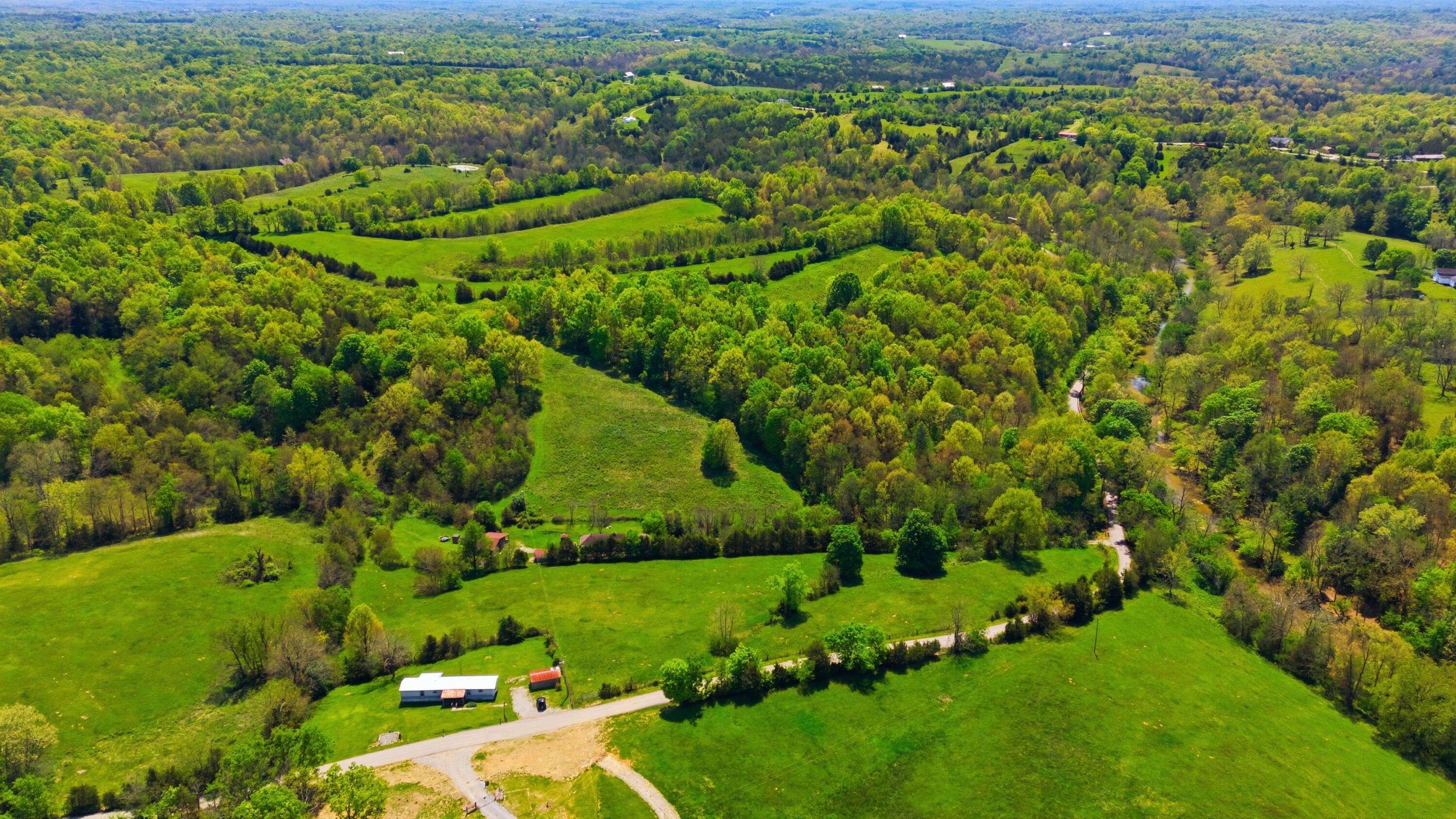 375 North Rays Fork Road Sadieville, KY 40370 - Photo 72 of 76 81-print-074NRays Fork