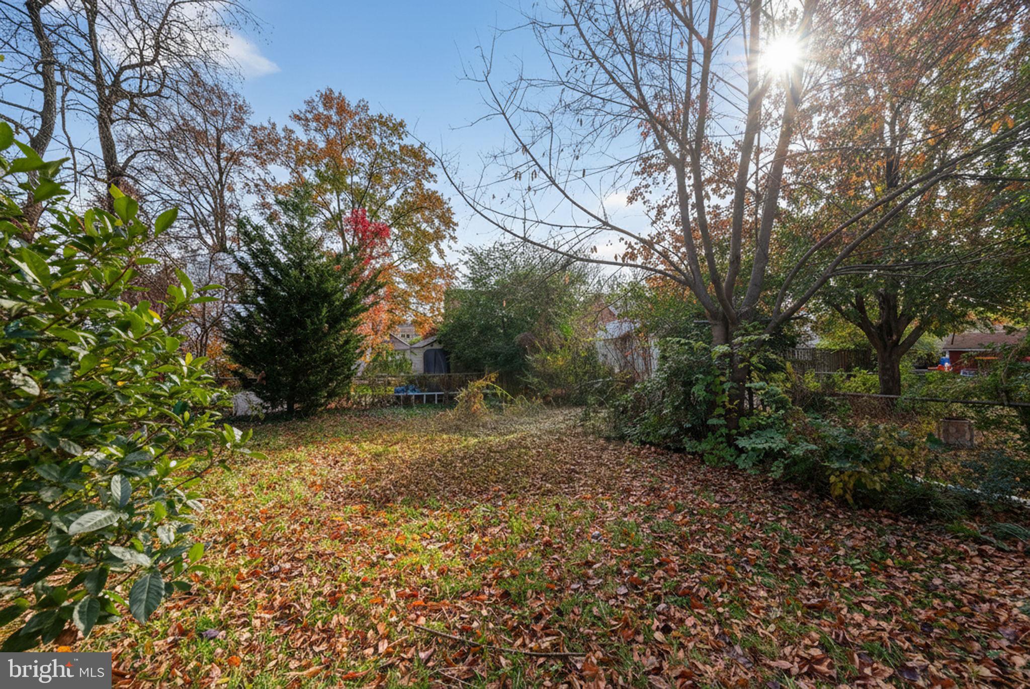 107 East Del Ray Avenue Alexandria, VA 22301 - Photo 13 of 30 a view of a yard with plants and trees