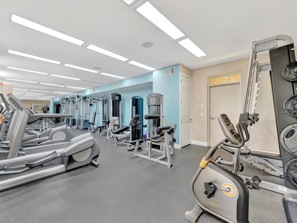 1022 Bellasol Way, Unit 5302 Apollo Beach, FL 33572 - Photo 35 of 43 a view of a room with gym equipment