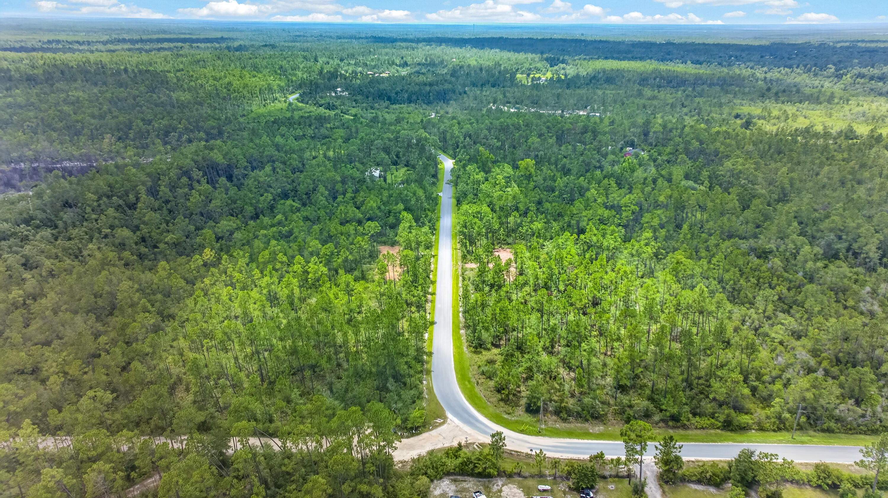 Xxx Cowels Road Fountain, FL 32438 - Photo 7 of 14 DJI_0286