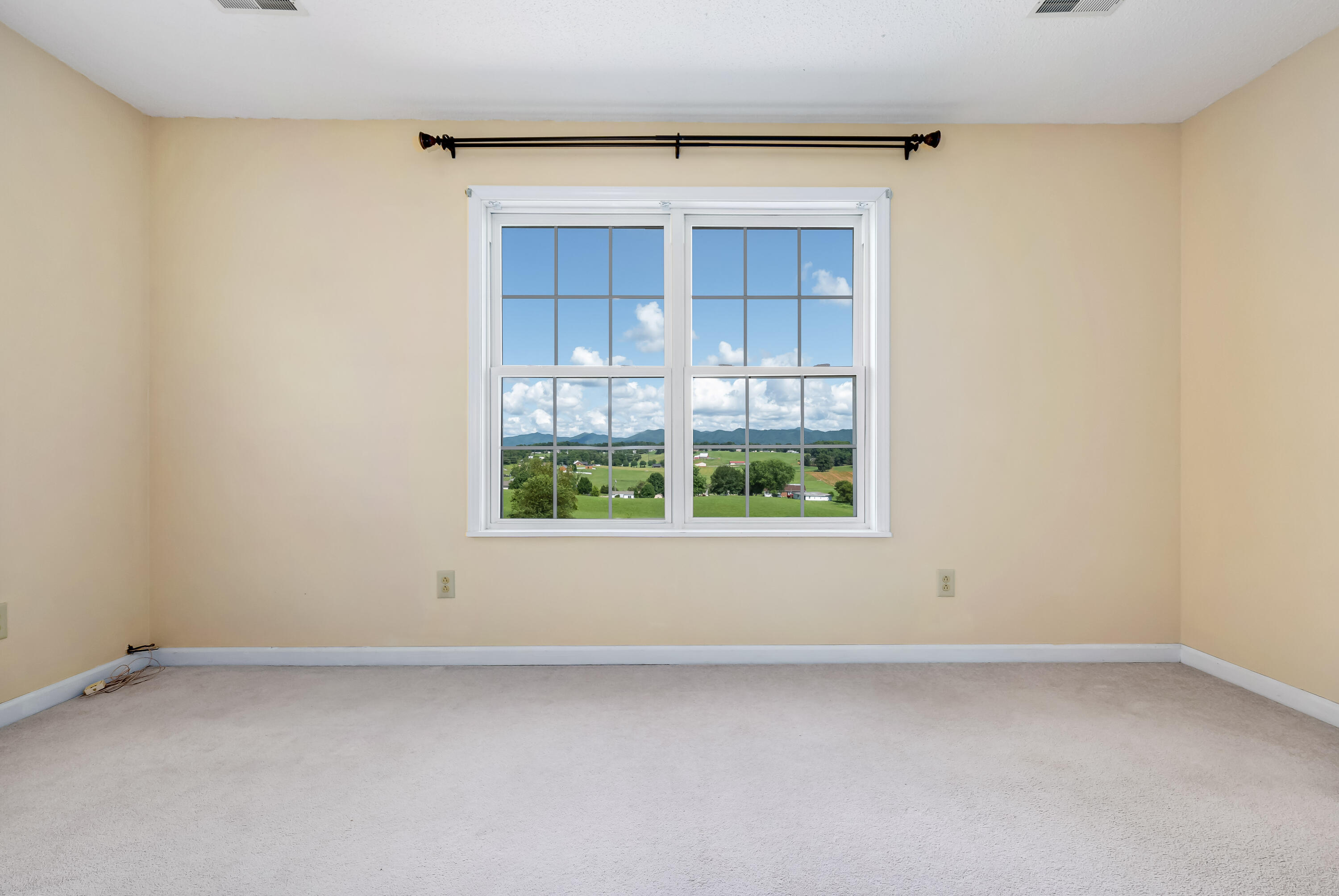 451 Ridgecrest Road Jonesborough, TN 37659 - Photo 36 of 50 451 Ridgecrest Dr (45 of 50)