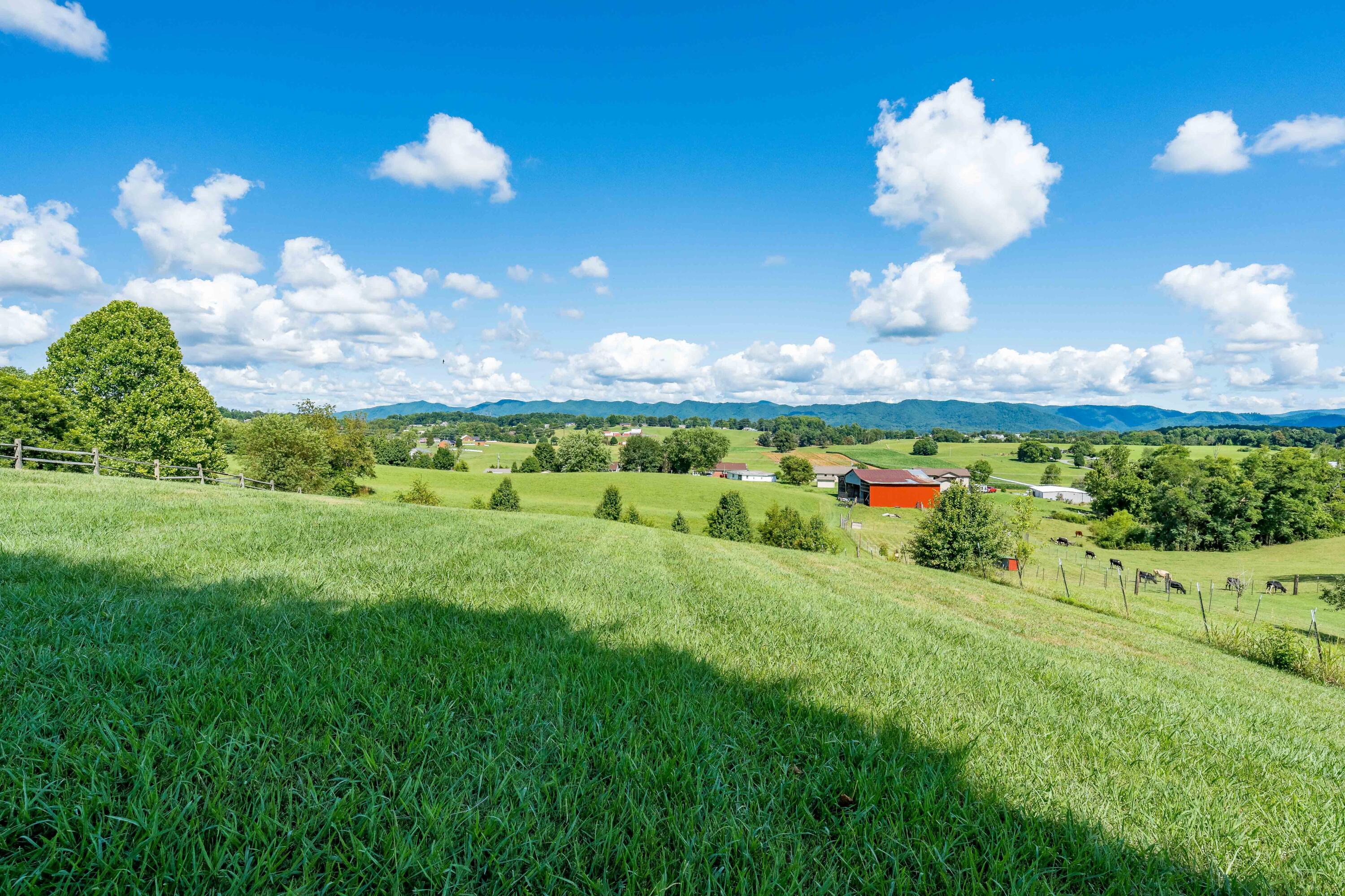 451 Ridgecrest Road Jonesborough, TN 37659 - Photo 43 of 50 451 Ridgecrest Dr (10 of 50)