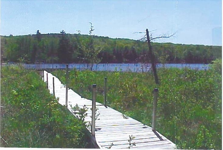 186 Back Bay Road Canaan, NH 03741 - Photo 31 of 40
