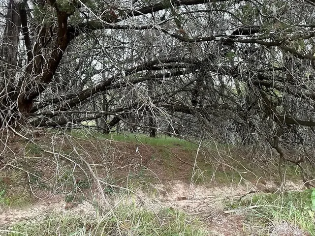 $55,000 | 21402 Highland Lake Drive, Lago Vista, TX 78645