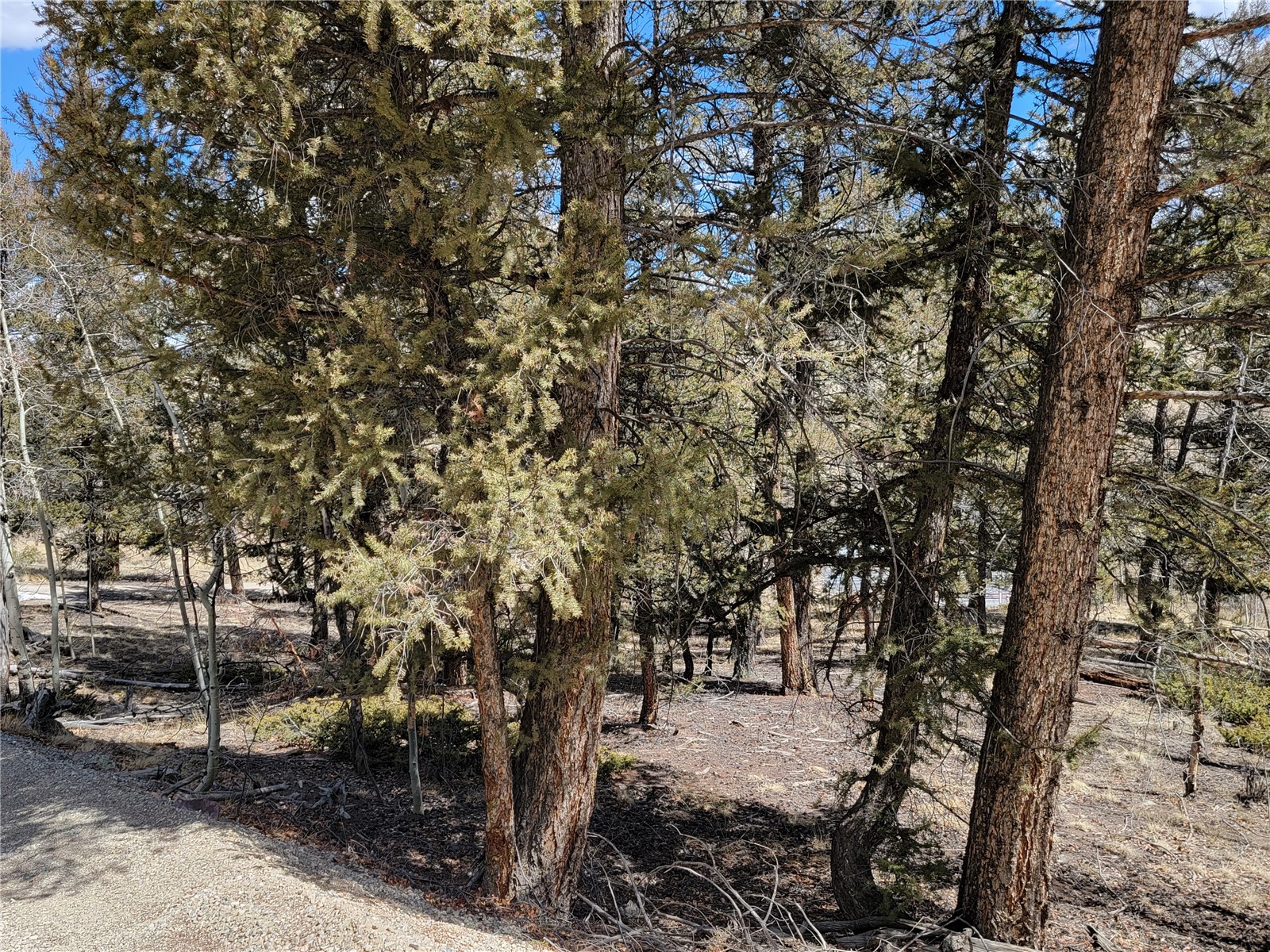 2270 Redhill Road Fairplay, CO 80440 - Photo 13 of 26 Gallery Image 13