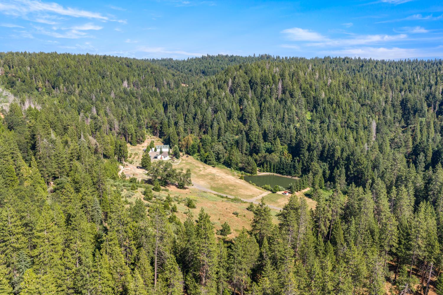 1237 Cable Road Camino, CA 95709 - Photo 82 of 87
