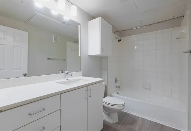 a bathroom with a toilet a sink and mirror