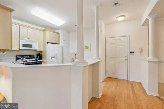 a view of a trees in a yard