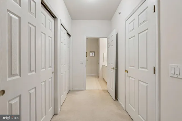 a view of a walk in closet