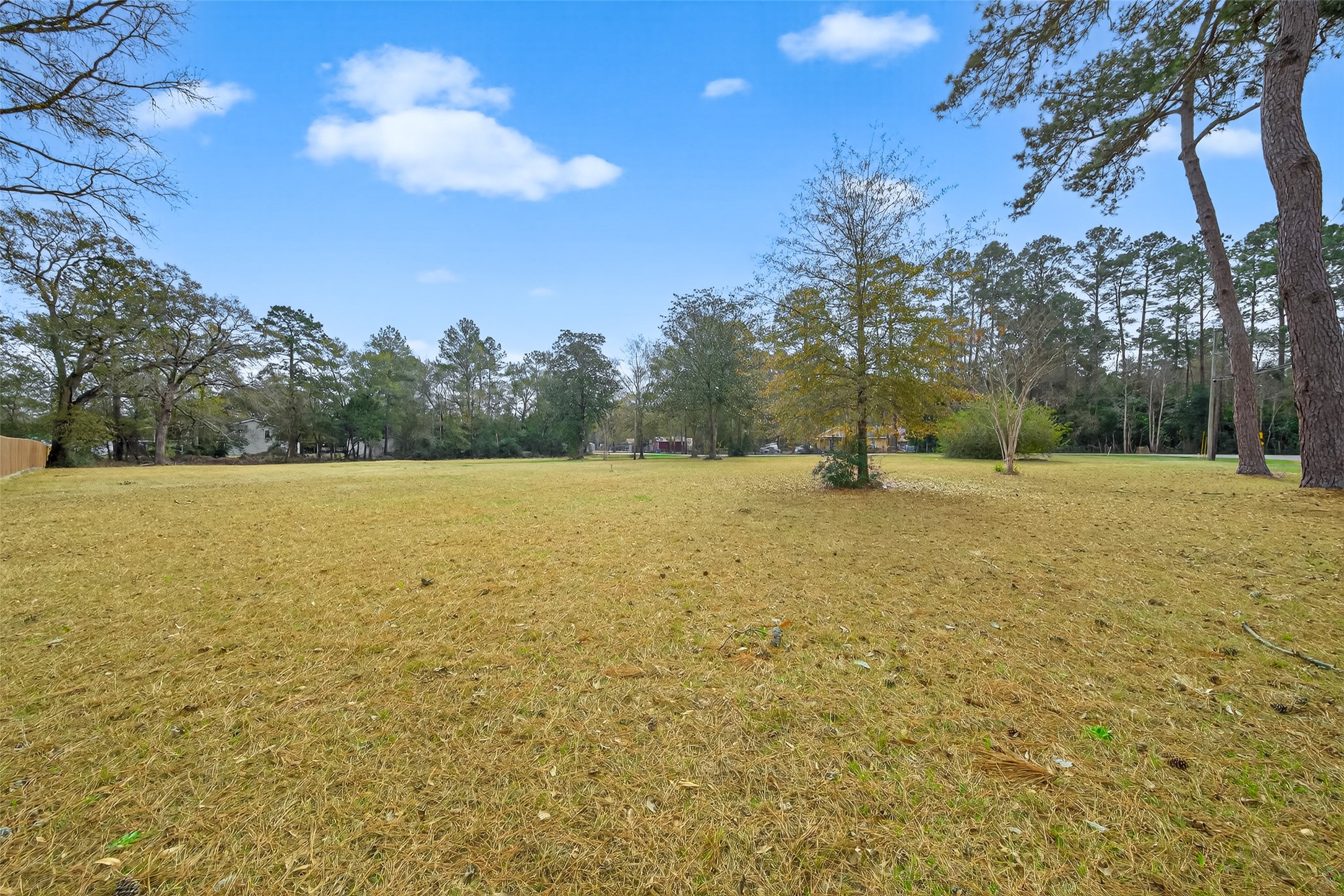 15471 Dewberry Lane Conroe, TX 77302 - Photo 15 of 21