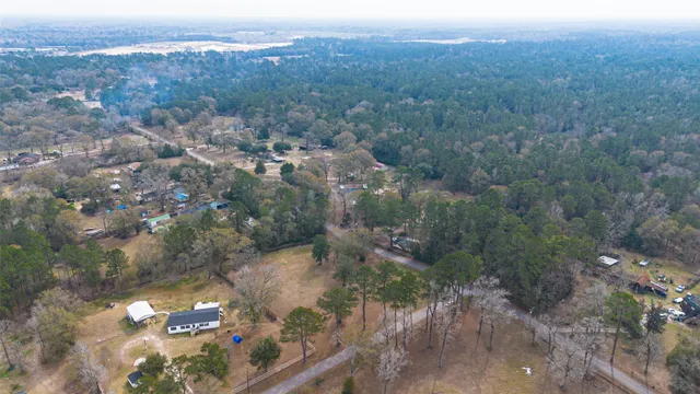 a view of a city with lush green forest