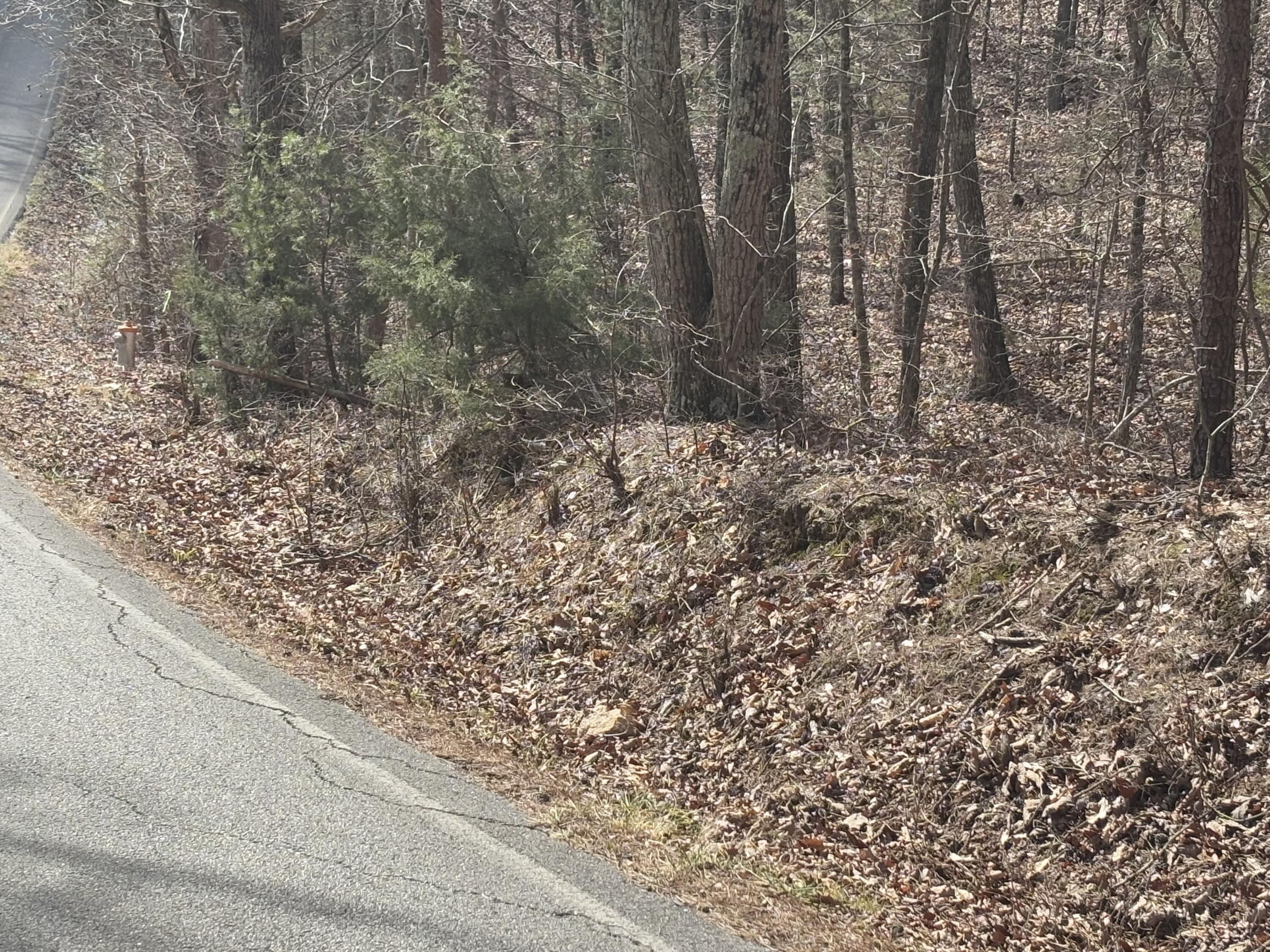 Lot 2 Forest Drive Ringgold, GA 30736 - Photo 4 of 8 IMG_5685