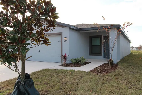 a view of a house with a small yard and a large tree