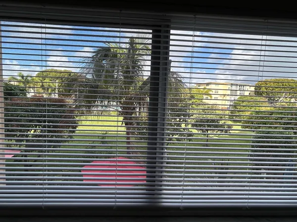 a view of a window