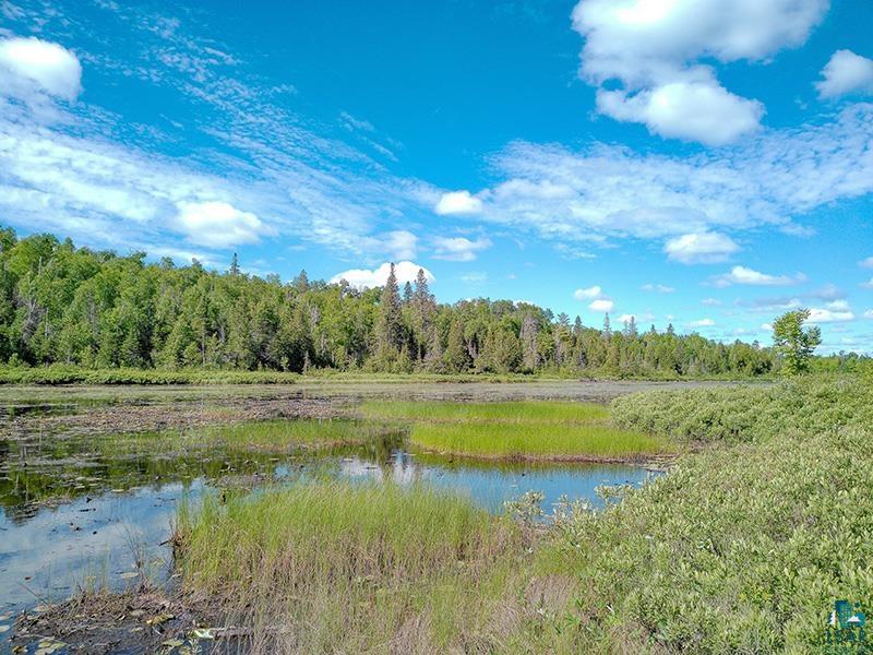 6975 Cramer Road Finland, MN 55603 - Photo 38 of 62