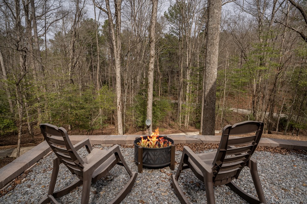 311 Ruby Lane Ellijay, GA 30540 - Photo 7 of 73 Gallery Image 7