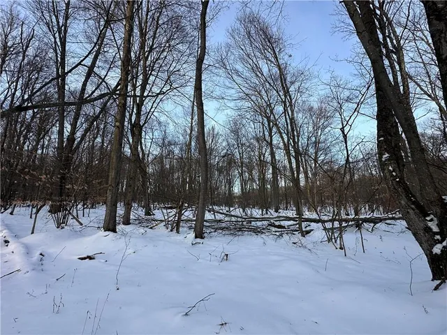 $29,000 | Lot 14 Kimberly Jo Lane, Marienville, PA 16239
