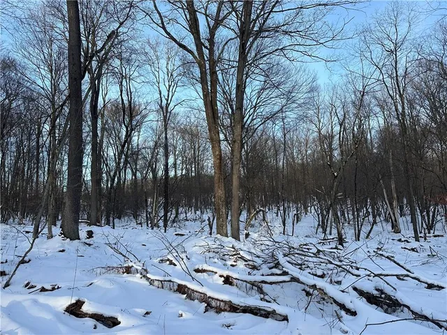 a view of outdoor space with trees