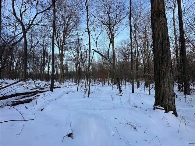 a view of a park with trees
