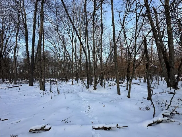 a view of outdoor space with trees