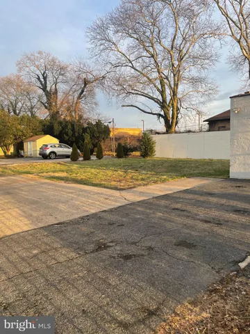 a view of a yard with a large tree