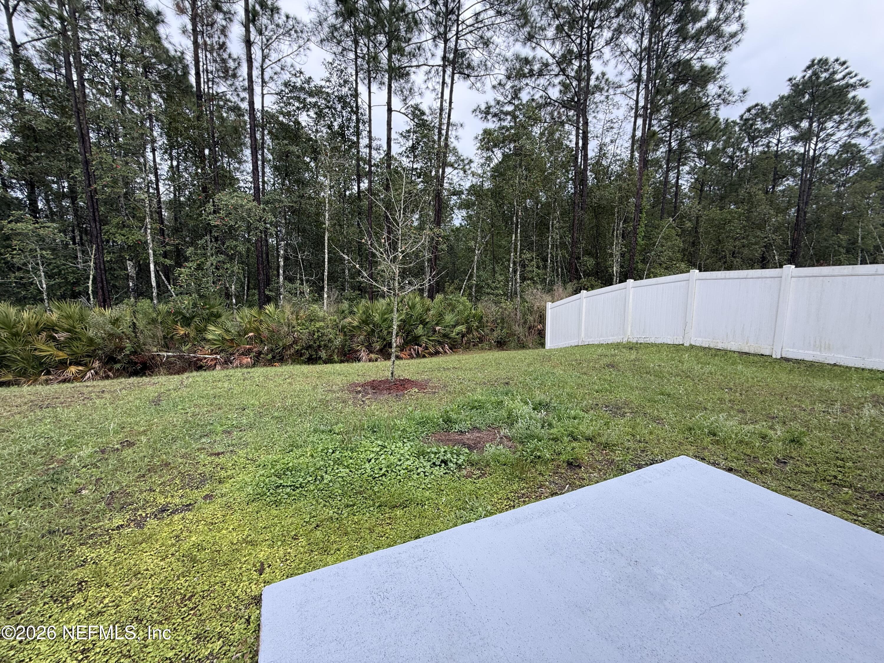 870 Morgans Treasure Road St. Augustine, FL 32084 - Photo 25 of 25 IMG_5654