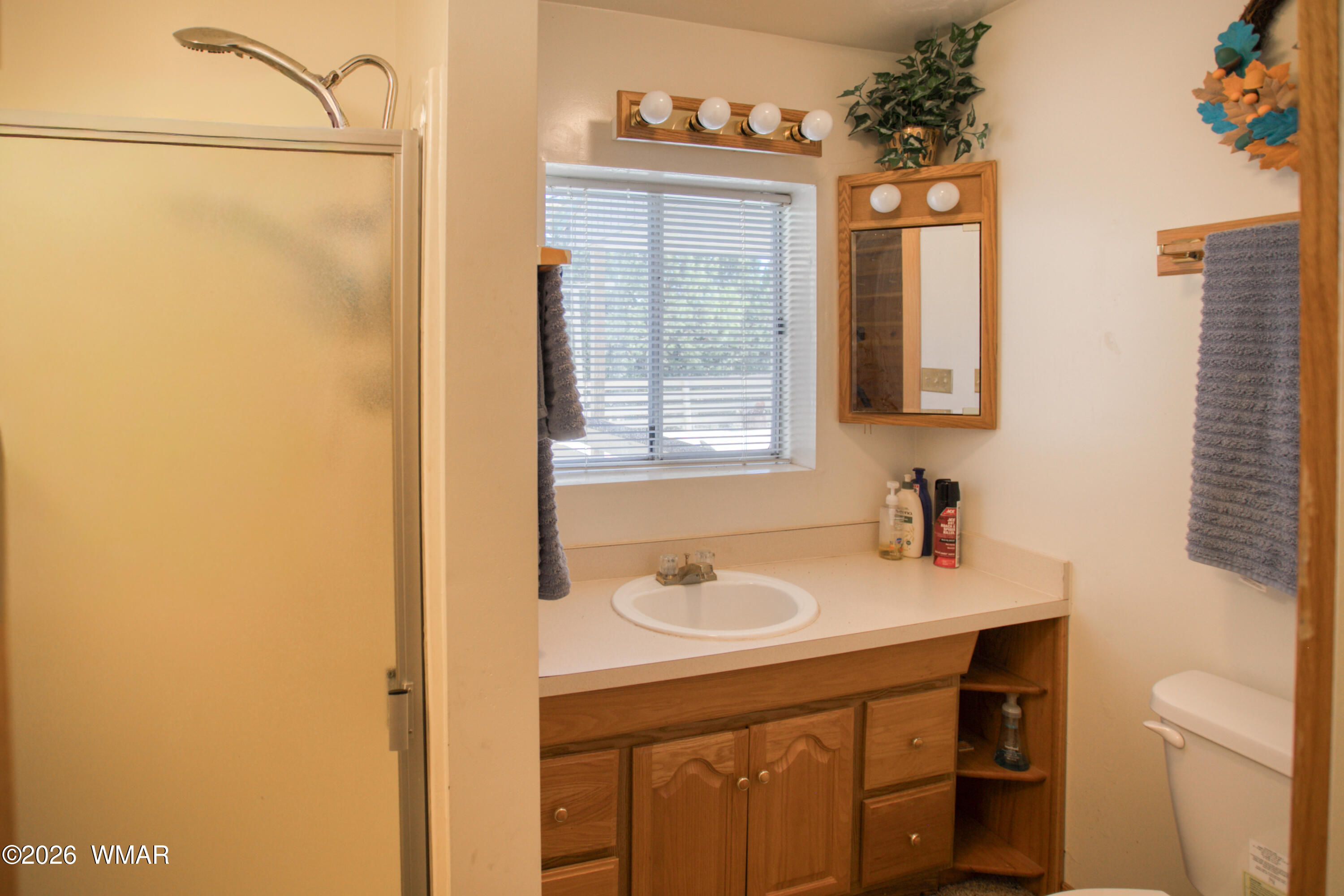 19 County Road Show Low, AZ 85901 - Photo 21 of 43 a bathroom with a sink a toilet and shower