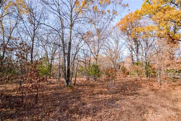 $60,000 | 1 South S Highway, Stockton, MO 65785