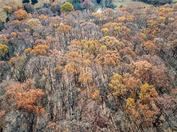 $60,000 | 1 South S Highway, Stockton, MO 65785