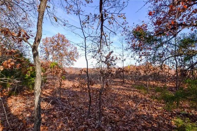 $60,000 | 1 South S Highway, Stockton, MO 65785