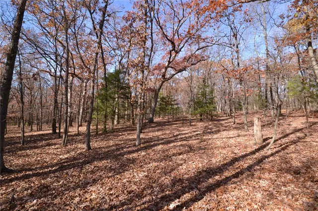 $60,000 | 1 South S Highway, Stockton, MO 65785