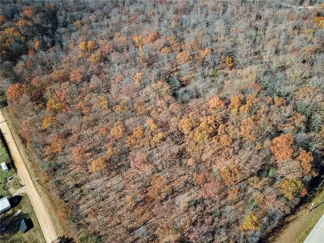 $60,000 | 1 South S Highway, Stockton, MO 65785