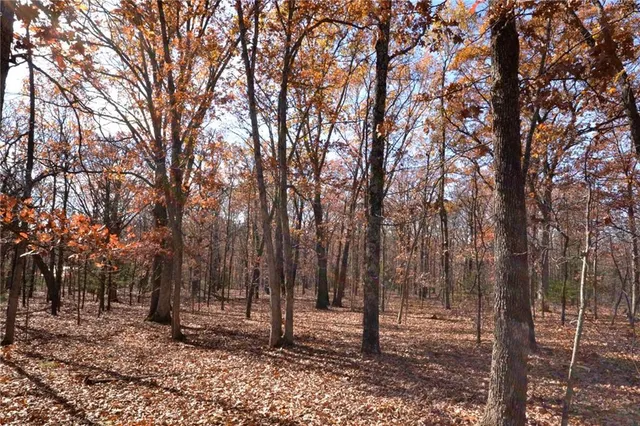 $60,000 | 1 South S Highway, Stockton, MO 65785