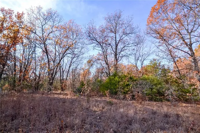 $60,000 | 1 South S Highway, Stockton, MO 65785