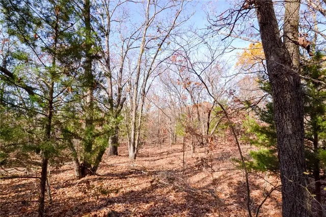 $60,000 | 1 South S Highway, Stockton, MO 65785