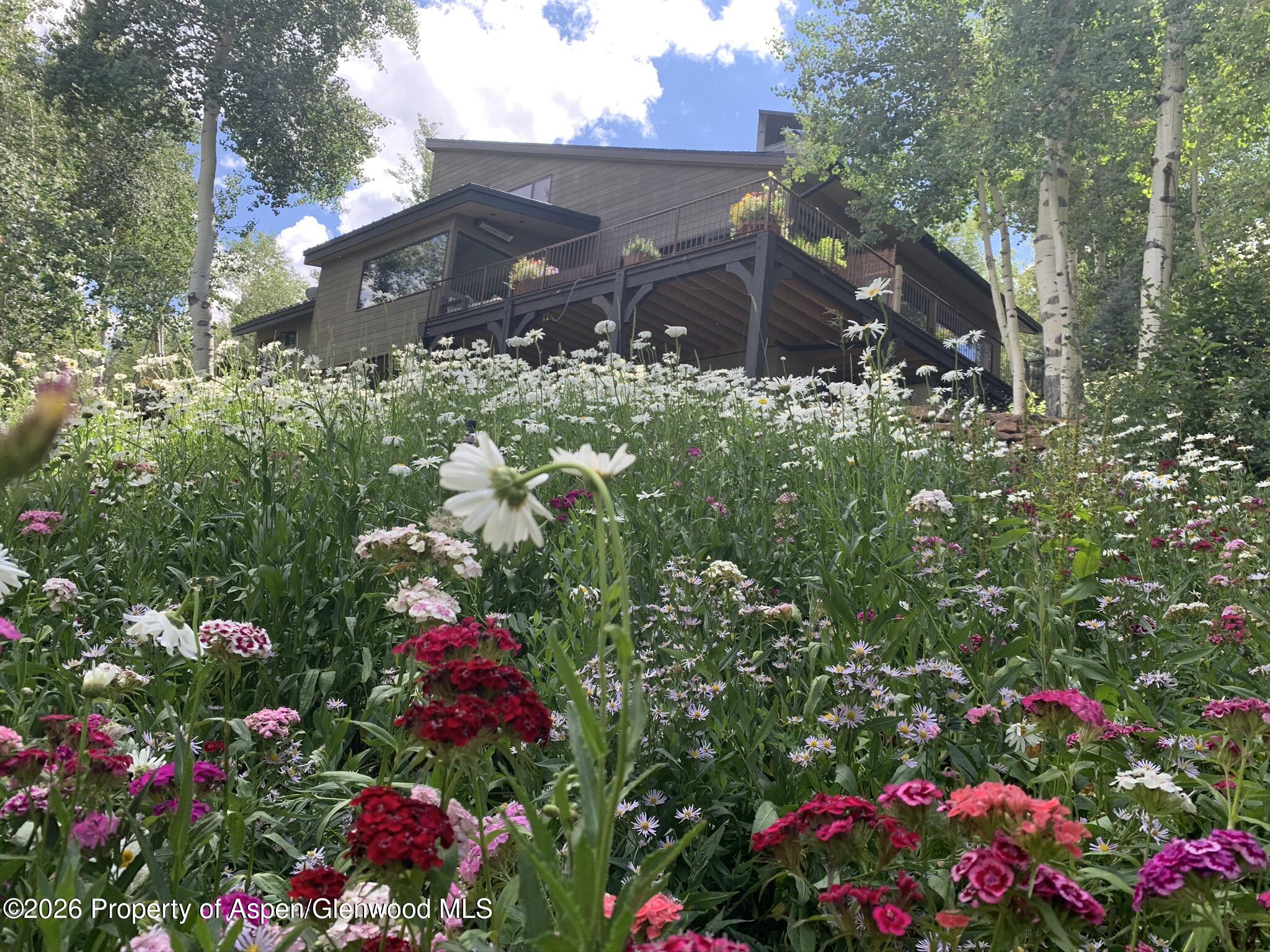 1592 Faraway Road Snowmass Village, CO 81615 - Photo 44 of 55 IMG_0823