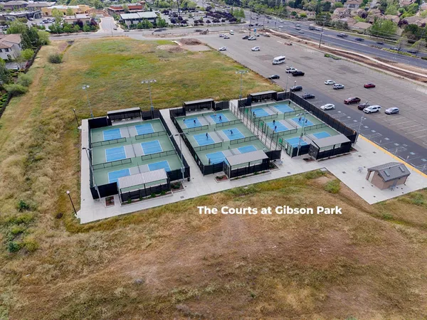 an aerial view of a tennis ground with large trees