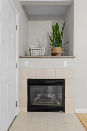 a close view of a fireplace with plants